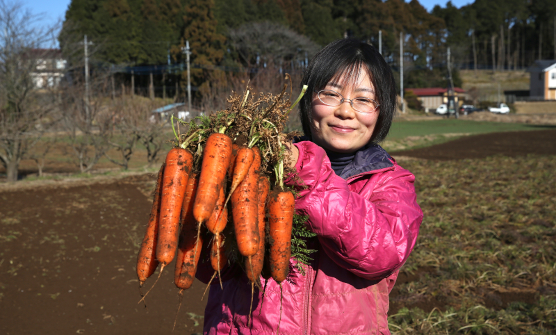 有機にんじんの収穫の様子